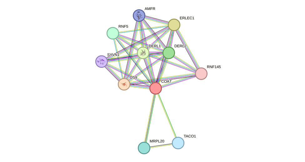 STRING protein interaction network