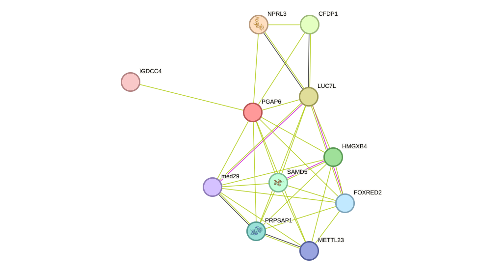 STRING protein interaction network