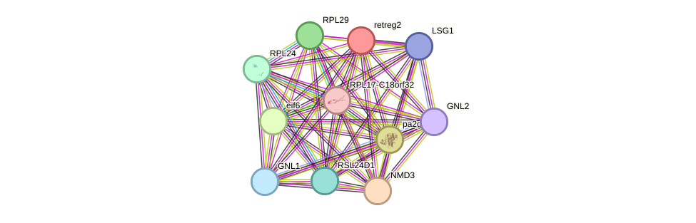 STRING protein interaction network