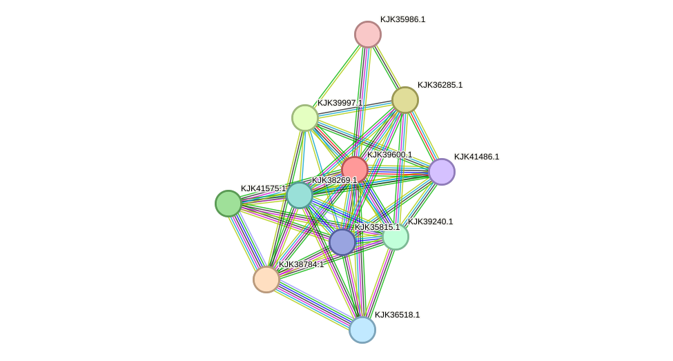 STRING protein interaction network