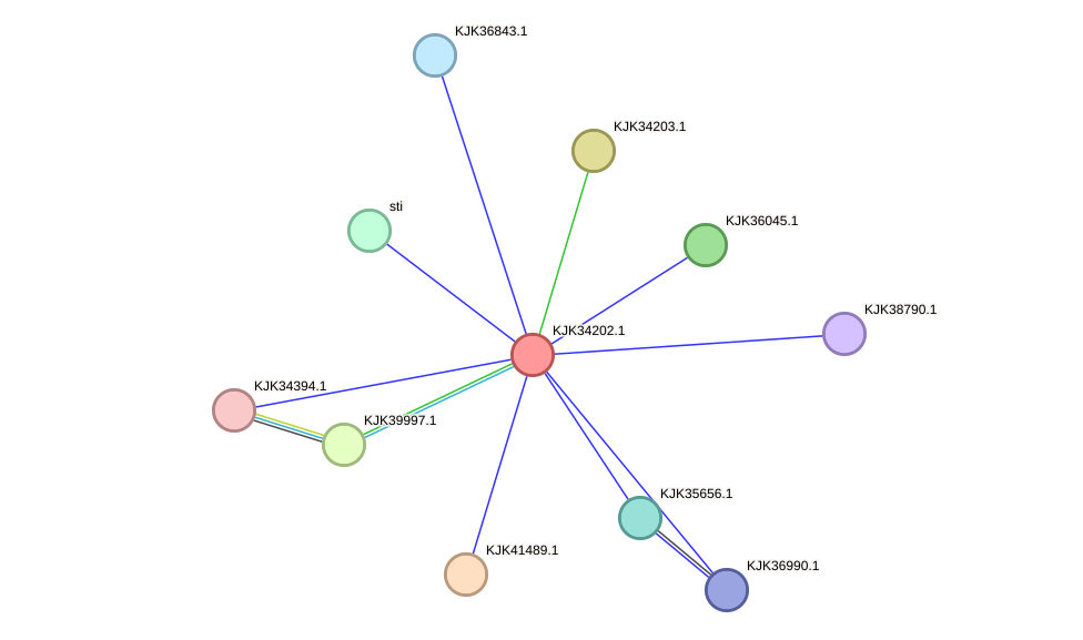 STRING protein interaction network