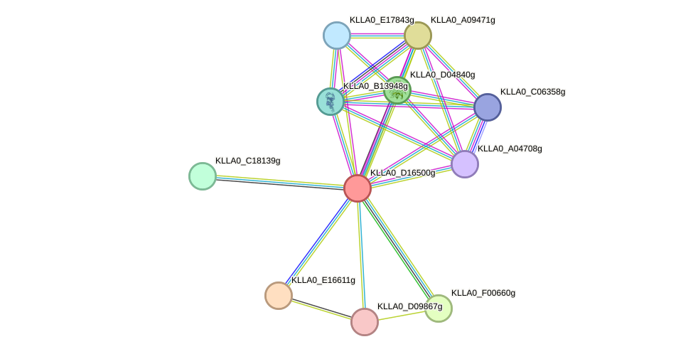 STRING protein interaction network