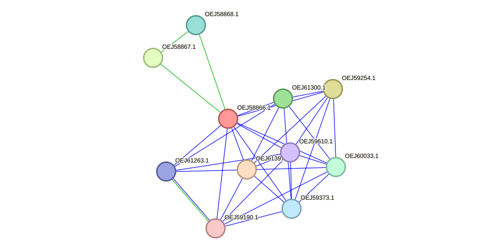 STRING protein interaction network