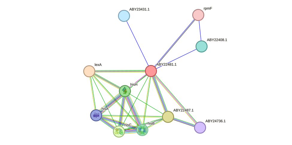 STRING protein interaction network