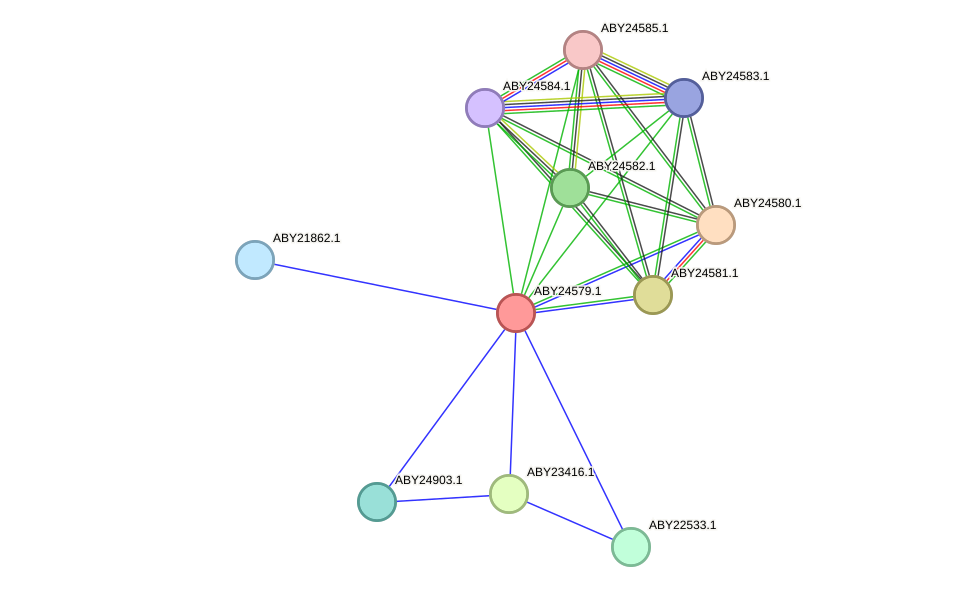 STRING protein interaction network