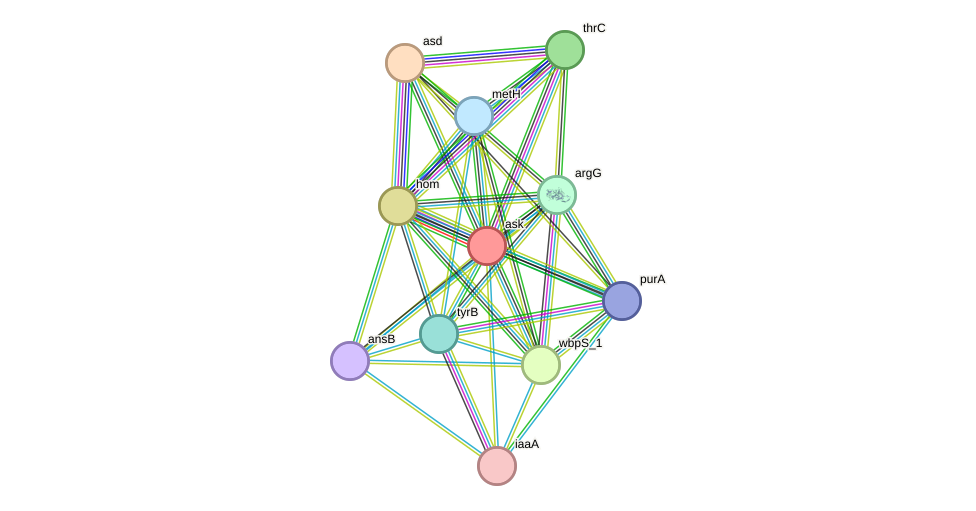 STRING protein interaction network