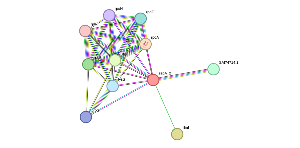 STRING protein interaction network