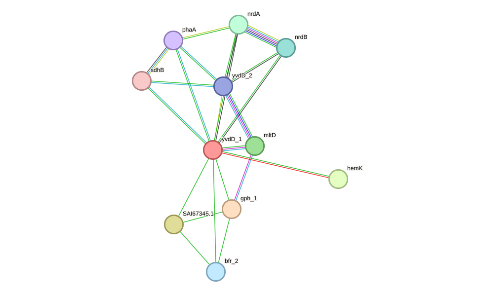 STRING protein interaction network