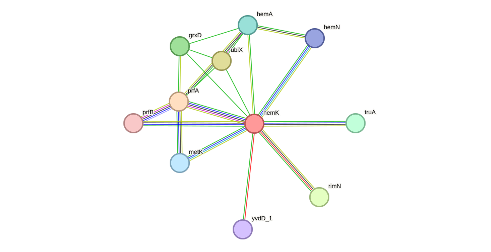 STRING protein interaction network