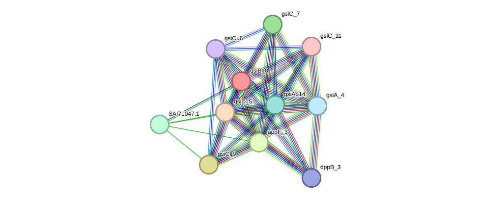 STRING protein interaction network