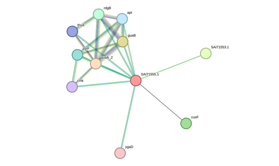 STRING protein interaction network