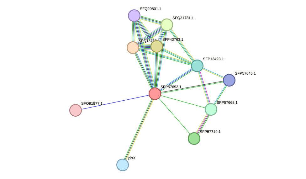 STRING protein interaction network