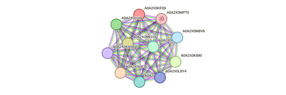 STRING protein interaction network