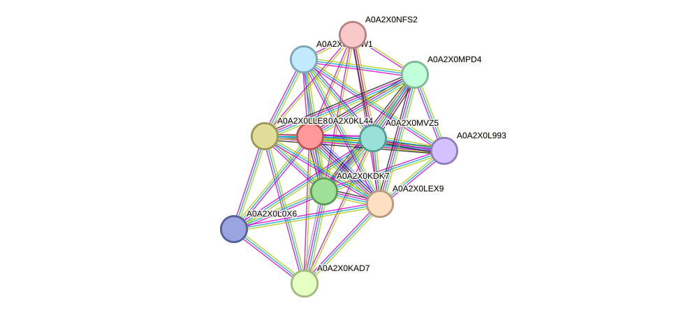 STRING protein interaction network