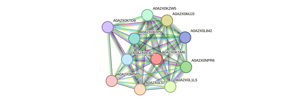 STRING protein interaction network