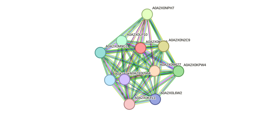 STRING protein interaction network