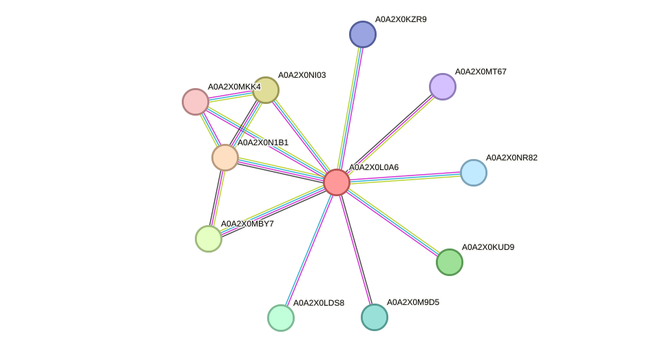 STRING protein interaction network