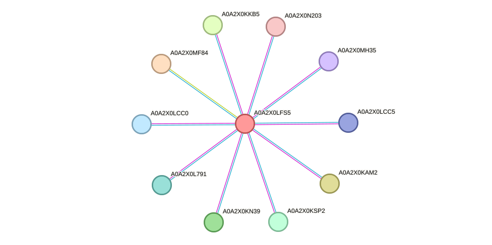 STRING protein interaction network