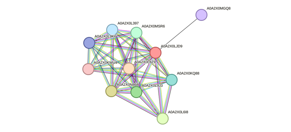 STRING protein interaction network