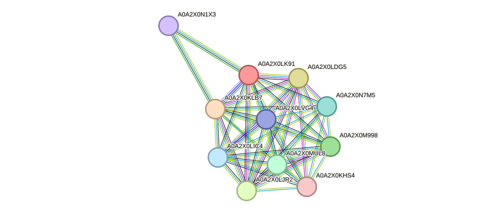 STRING protein interaction network