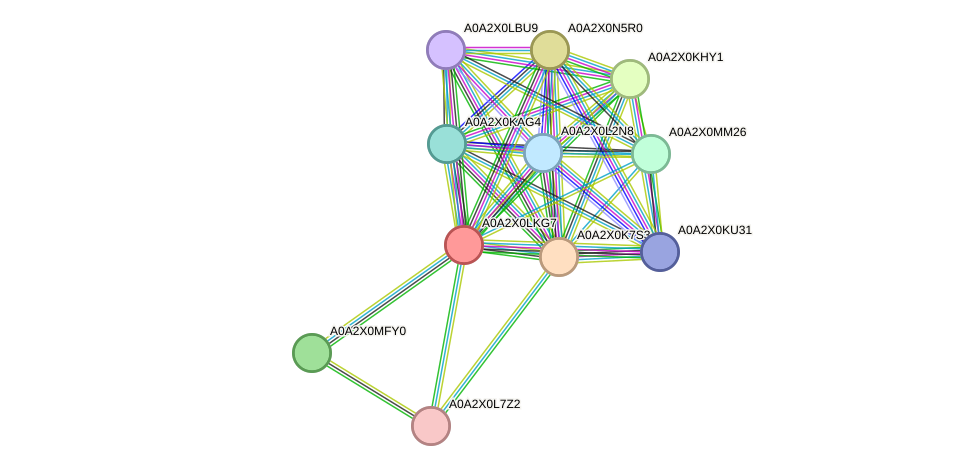 STRING protein interaction network