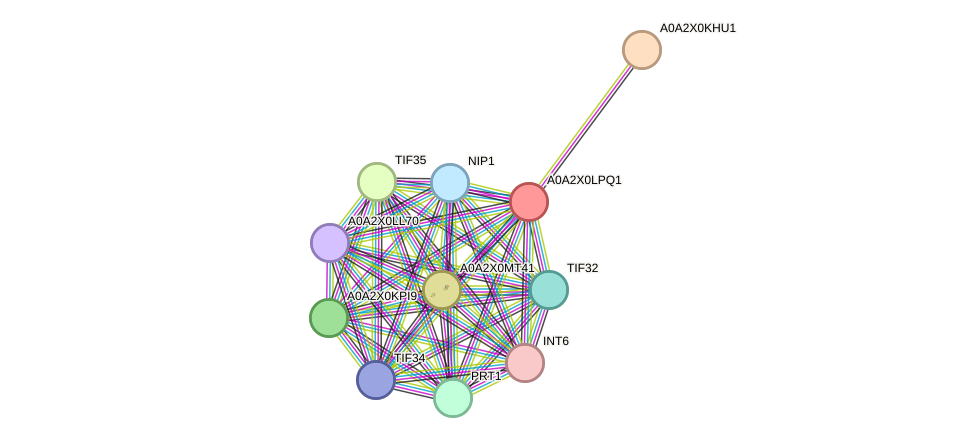 STRING protein interaction network