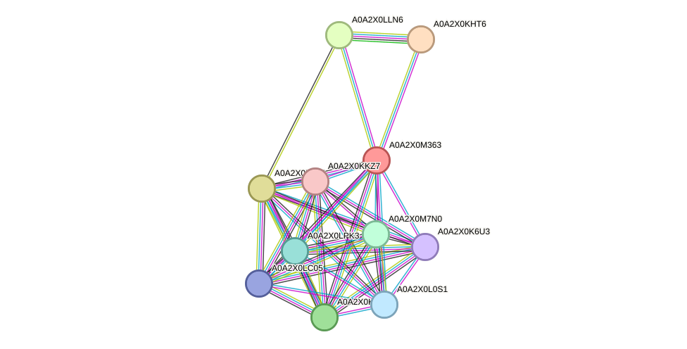 STRING protein interaction network