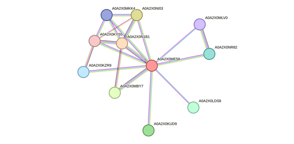 STRING protein interaction network