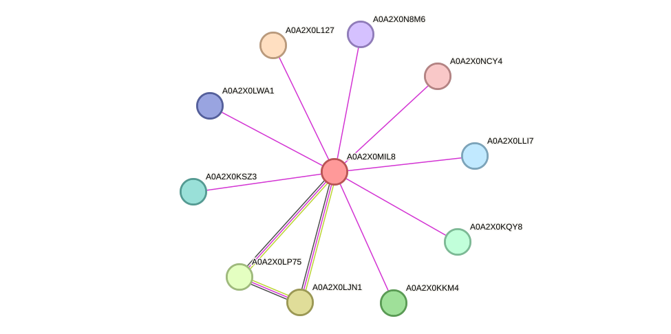 STRING protein interaction network