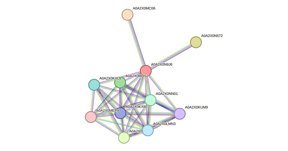 STRING protein interaction network