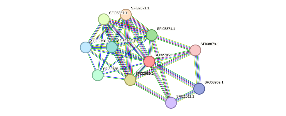 STRING protein interaction network