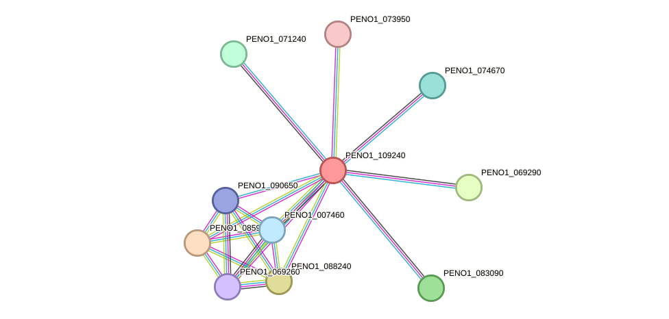 STRING protein interaction network