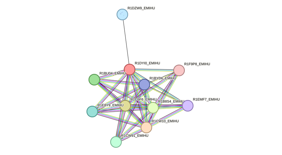 STRING protein interaction network