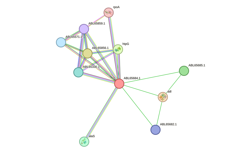 STRING protein interaction network