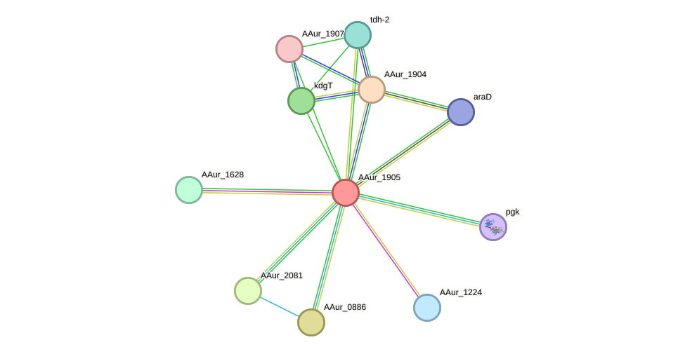 STRING protein interaction network