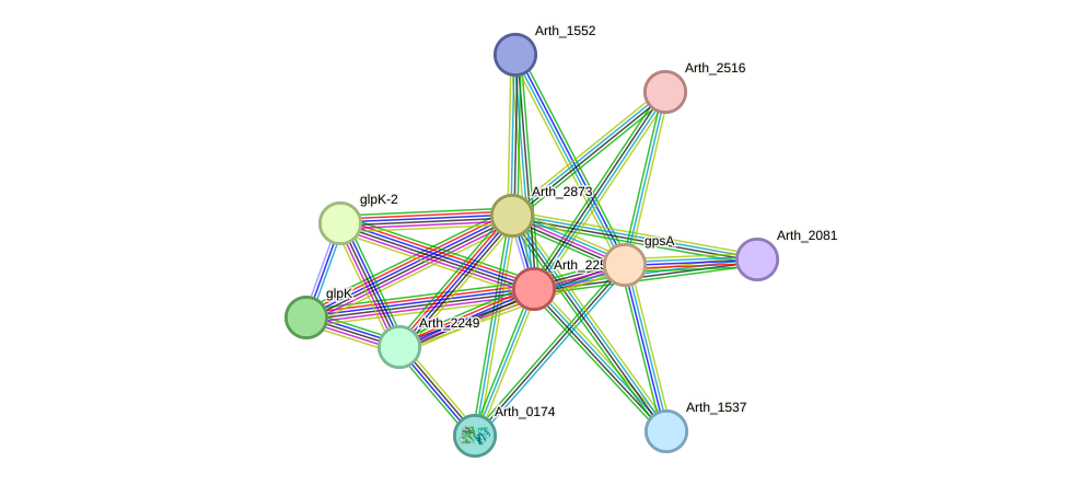 STRING protein interaction network