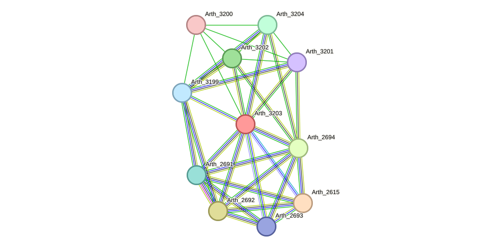 STRING protein interaction network