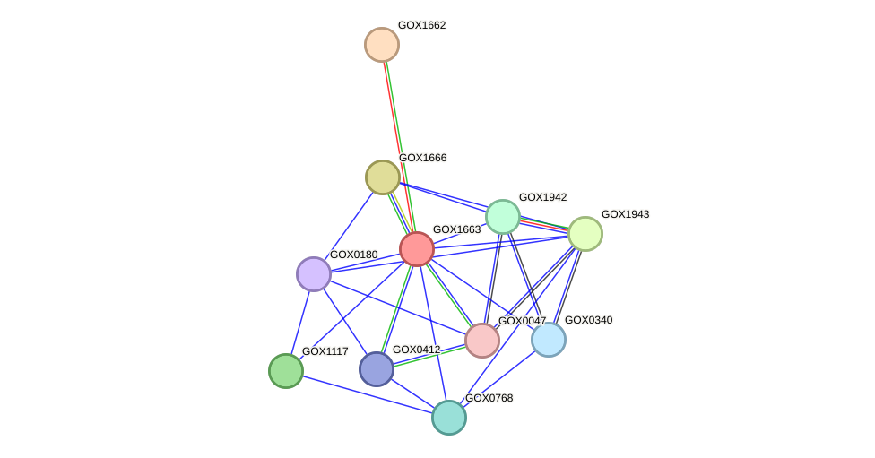 STRING protein interaction network