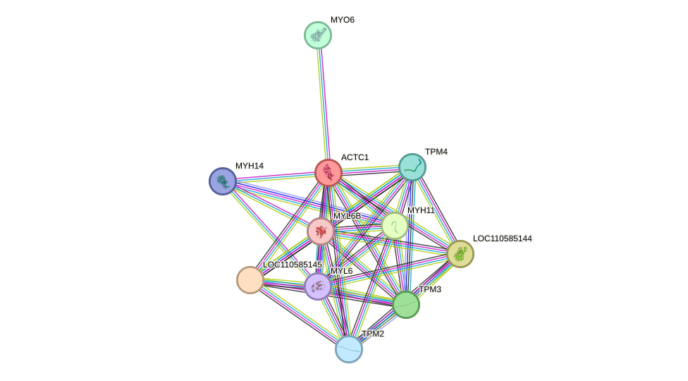 STRING protein interaction network