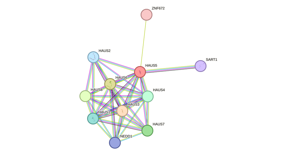 STRING protein interaction network