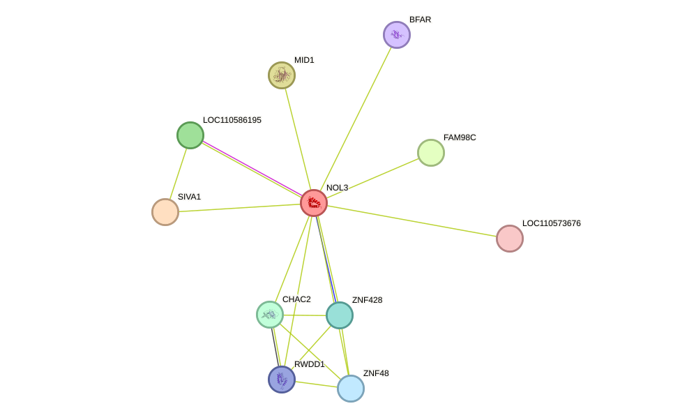 STRING protein interaction network