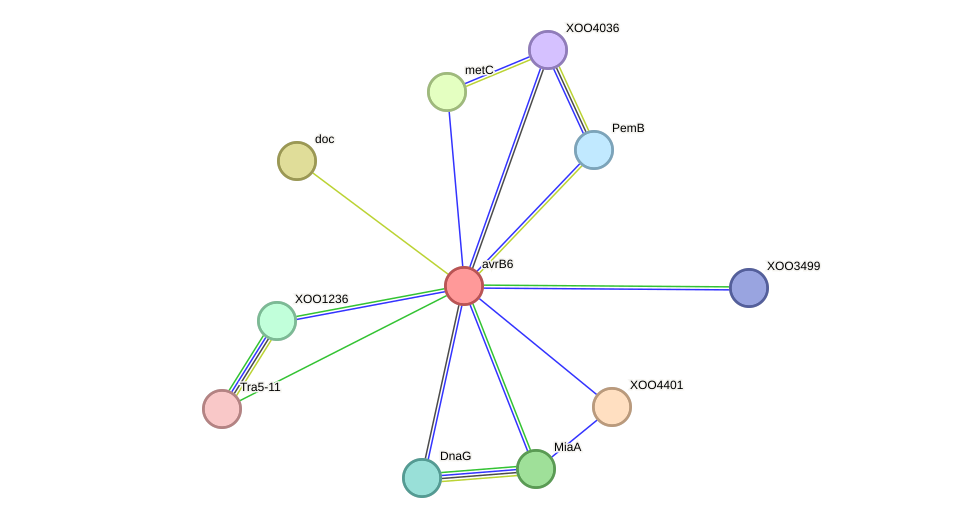 STRING protein interaction network