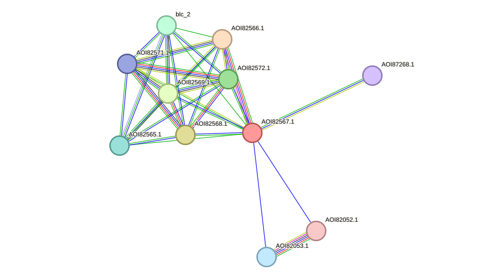 STRING protein interaction network