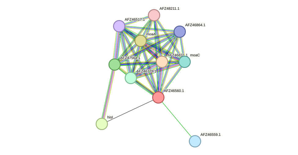 STRING protein interaction network