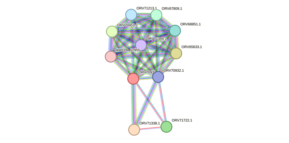 STRING protein interaction network