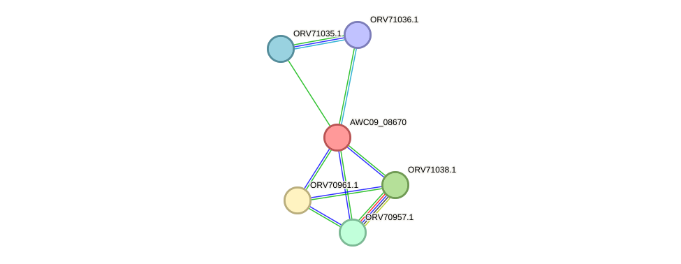 STRING protein interaction network