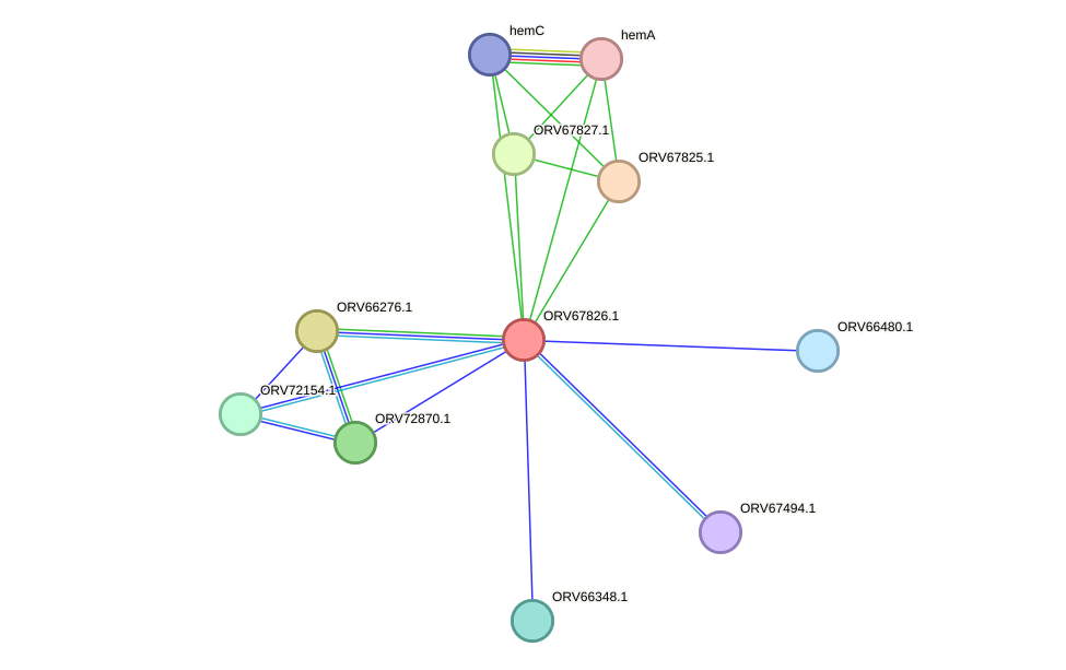 STRING protein interaction network