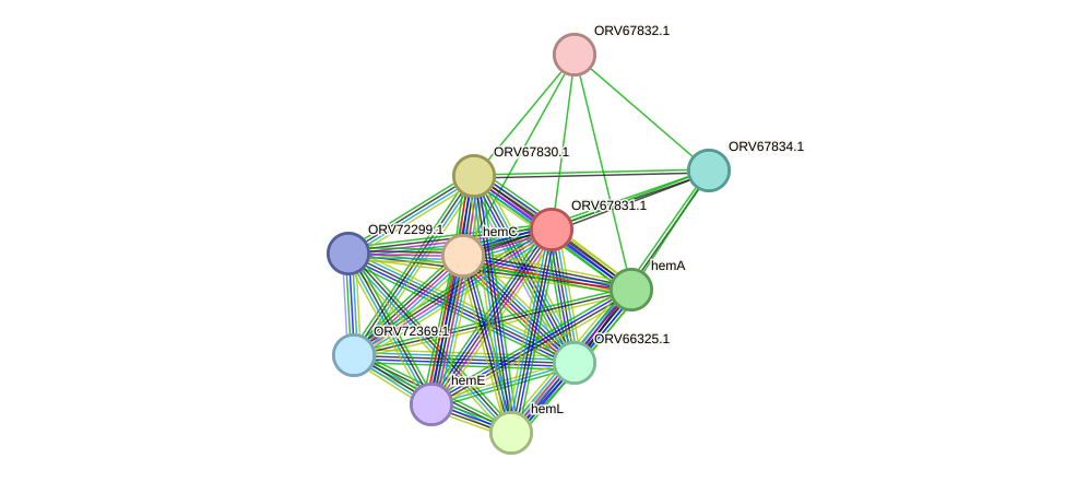 STRING protein interaction network