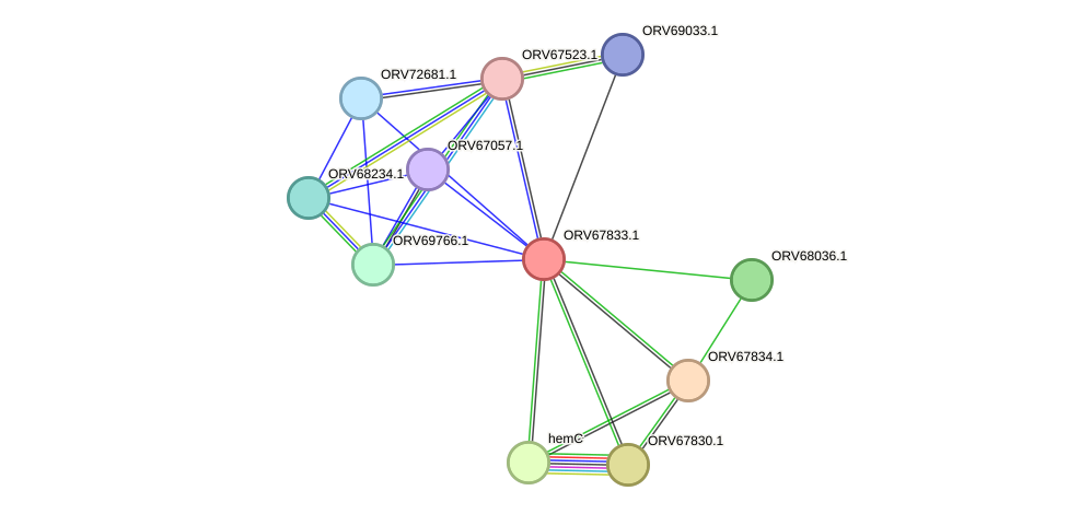 STRING protein interaction network