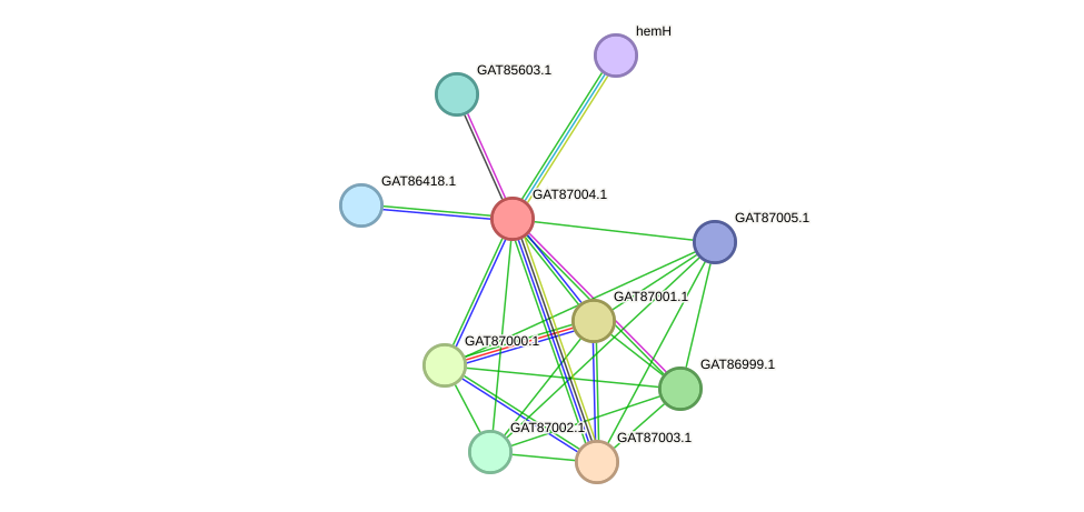 STRING protein interaction network